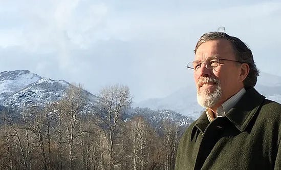 man in coat in front of bare trees and snowy peaks