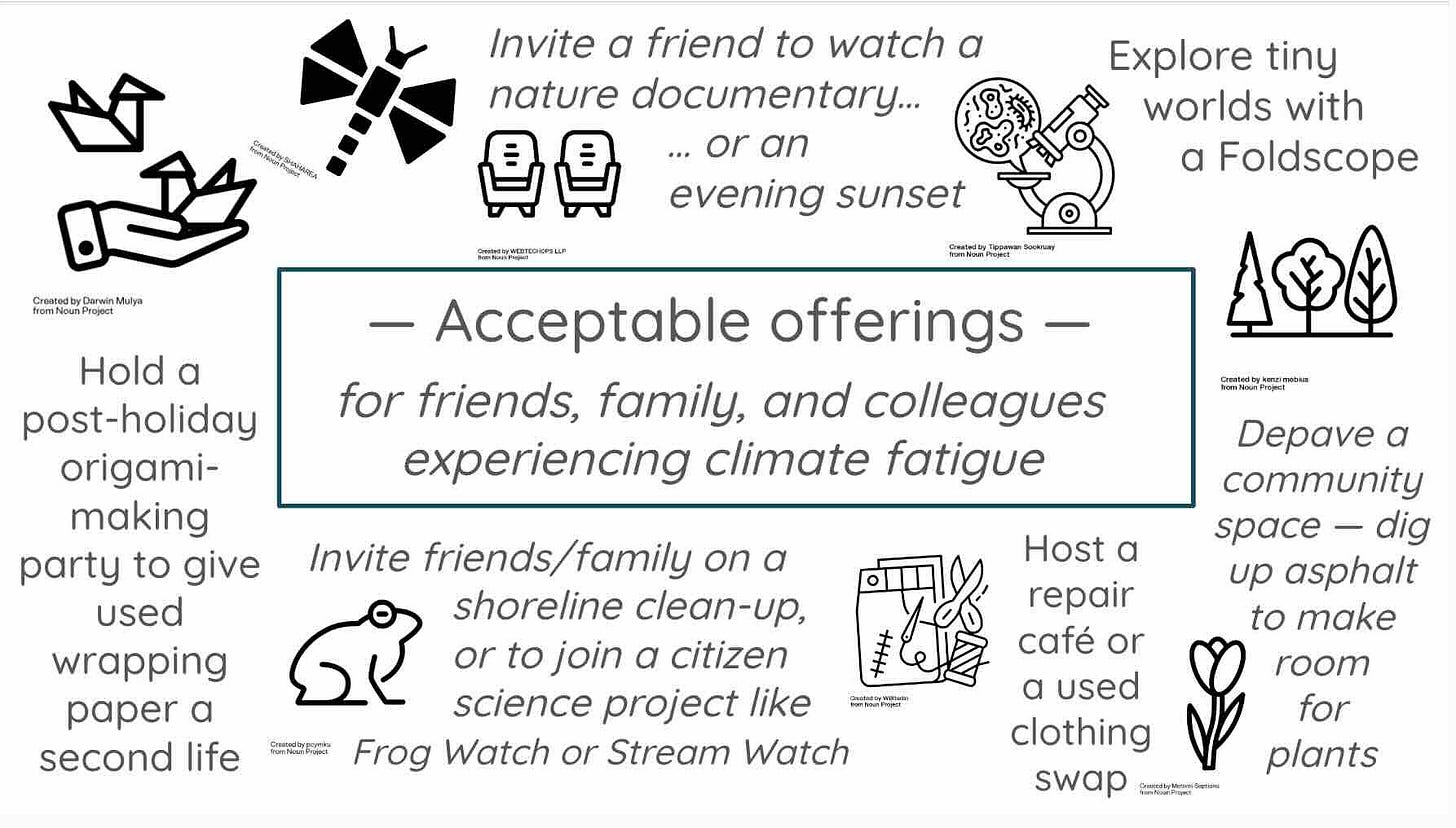 On a white background, black text and black and white images from The Noun Project illustrate the title (Acceptable Offerings for friends, family and colleagues experiencing climate fatigue). Suggestions include hosting a post-holiday origami-making party to give used wrapping paper a second life; inviting a friend to watch a nature documentary or a sunset; participating in a shoreline clean-up or joining a citizen science project like Frog Watch or Stream Watch; offering to mend a favourite item of clothing for a friend, or hosting a used-clothing swap; de-paving a community space to make room to plant trees or pollinator-friendly plants.