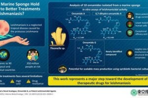 This infographic summarizes the treatment of leishmaniasis using natural compounds called onnamides, derived from a marine sponge.