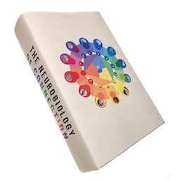 The Neurobiology of Connection