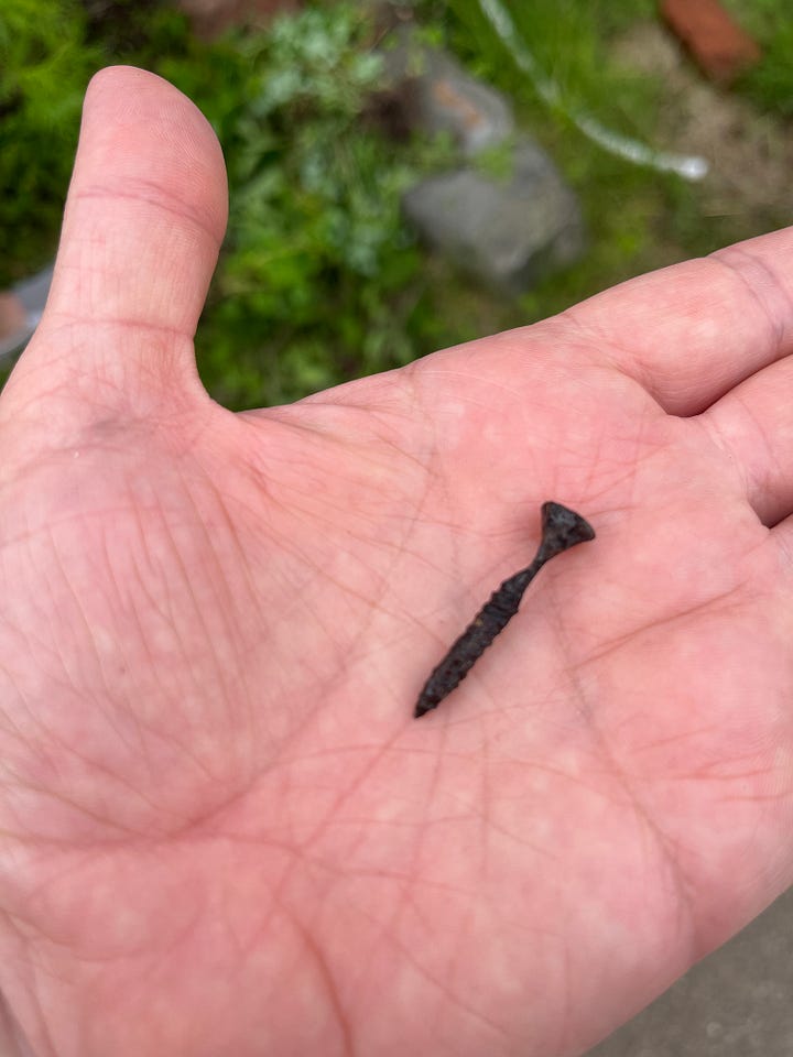 A series of four photos. Two are of my open hand holding rusty screws i've picked up off the ground. Another is a loaf of sourdough bread. Another is a smattering of daisies from the garden