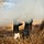 Robert Darch - Artist-Photographer