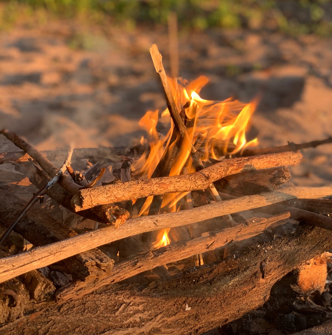 photograph of a campfire