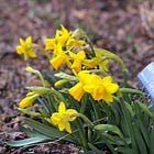 Garden Keeping Journal - March Edition