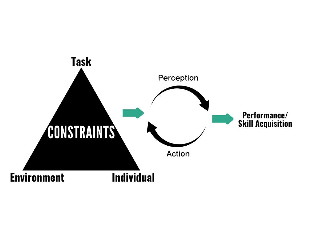 Blockbuster or Netflix? - The Curious Coach's Substack