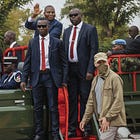 the central african link