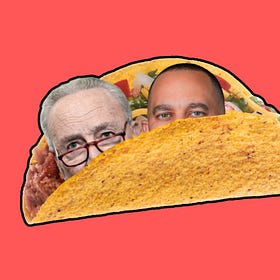 Democrats are Doing Trump’s Work for Him