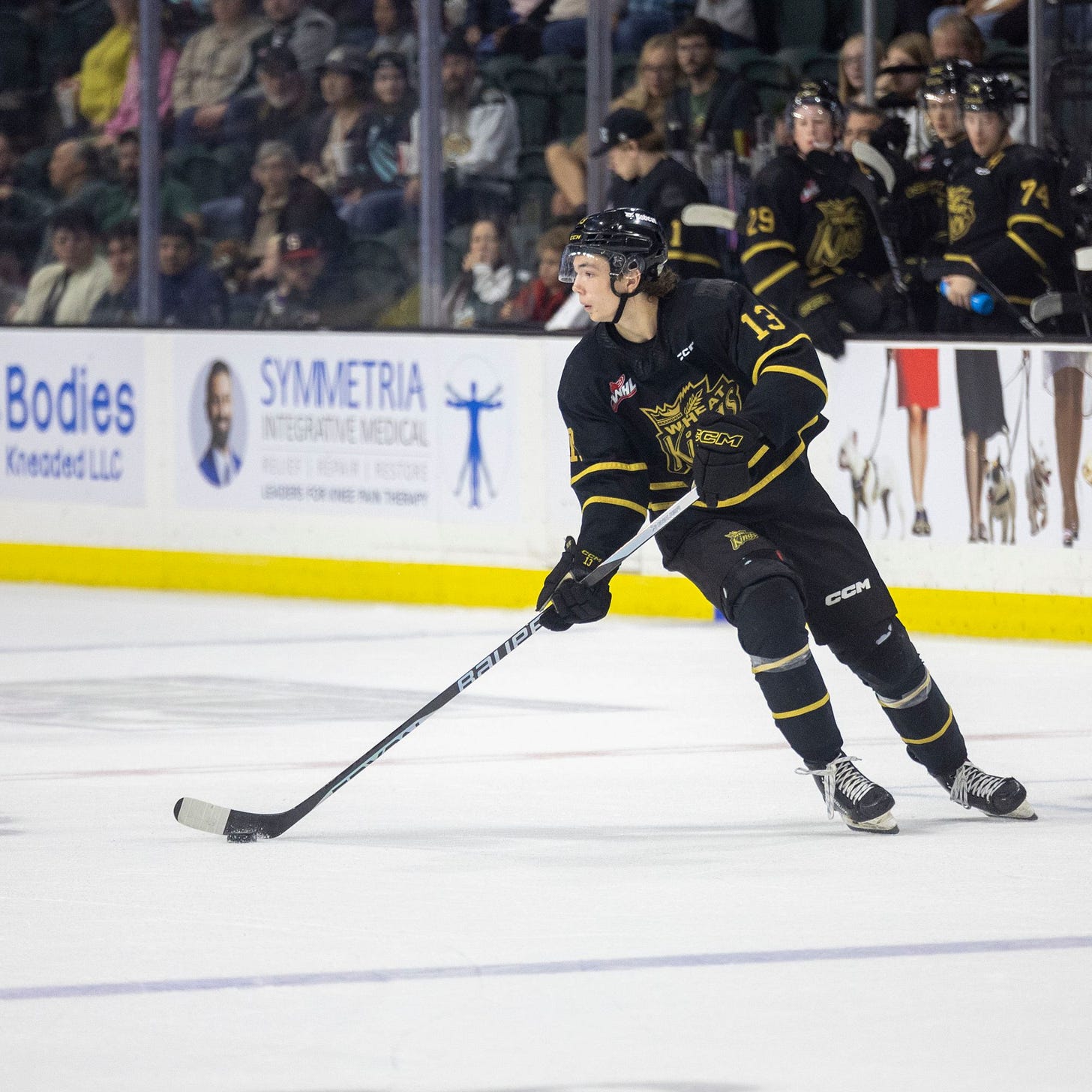 231020_EvanMorud_SilvertipsVsWheatKings_McQueen.jpg