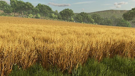 Farming Simulator 25 Area