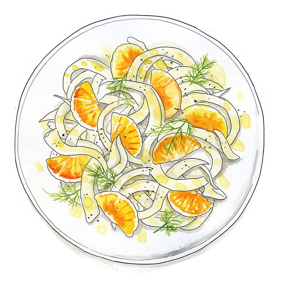 Watercolor and liner pen sketch of a Sicilian orange and fennel salad. Watercolor and liner pen sketch of a Sicilian orange and fennel salad.