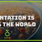Fermentation Is Eating the World
