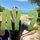 Survivor Holiday - Mana Island Resort