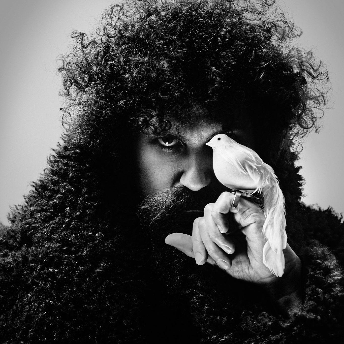 No photo description available. No photo description available.