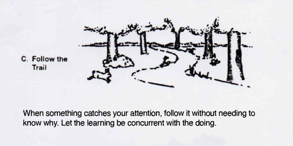 Thumbnail of Creativity is all around us