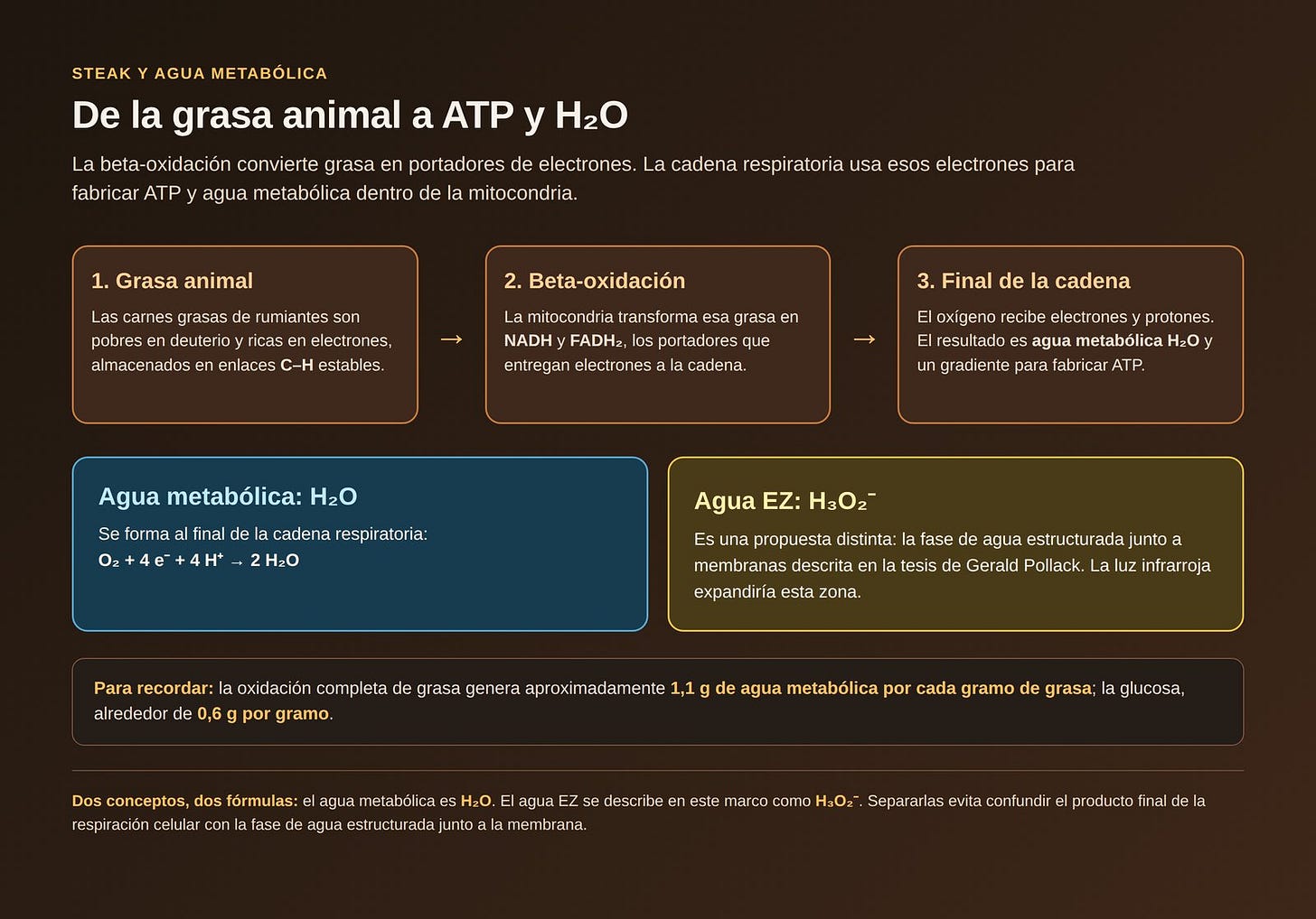Grasa, electrones y agua metabólica Grasa, electrones y agua metabólica