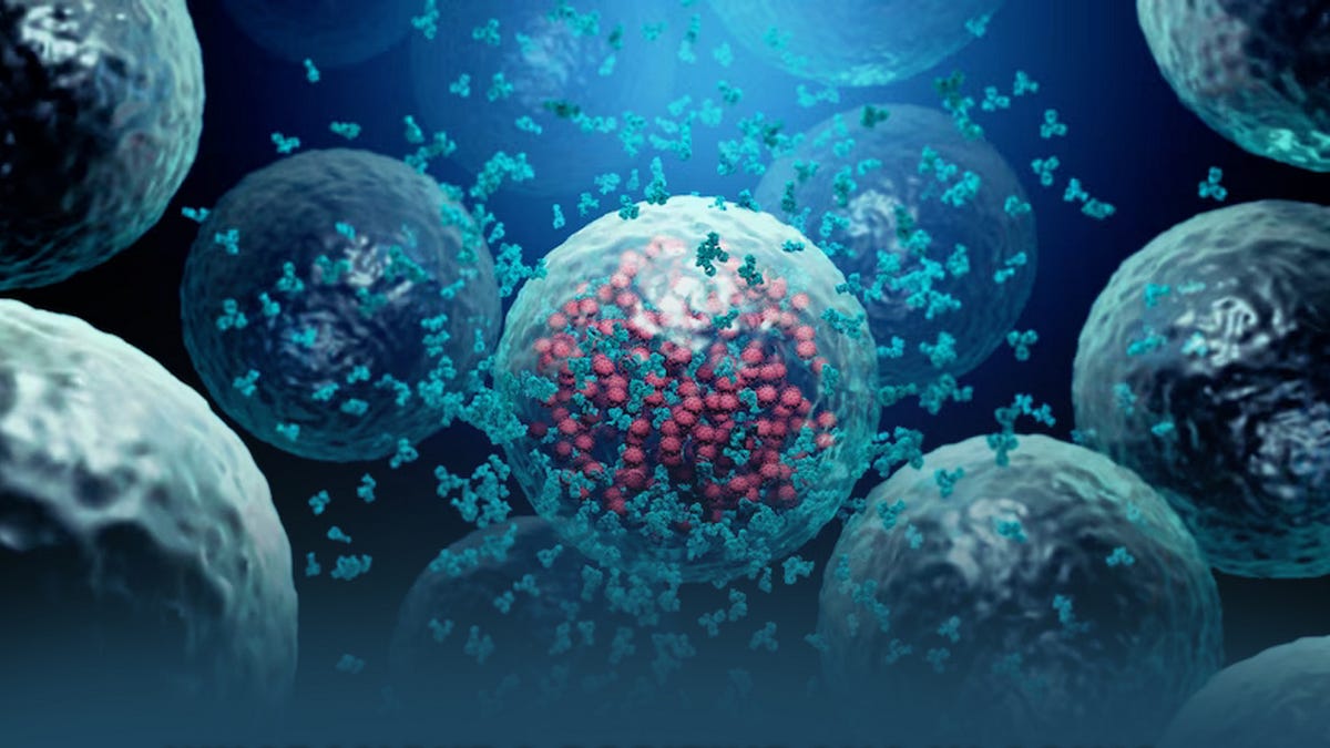 What Might a Positive ANA in Aging Really Be Telling Us?