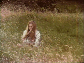 This may contain: a woman sitting in the middle of tall grass This may contain: a woman sitting in the middle of tall grass