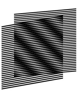 Against a white background, there is a field of parallel black lines. Overlaid on this is another field of black lines which are rotating back and forth to form angles different from the first lines. This generates an optical illusion, an interference pattern which looks like shimmering motion. Against a white background, there is a field of parallel black lines. Overlaid on this is another field of black lines which are rotating back and forth to form angles different from the first lines. This generates an optical illusion, an interference pattern which looks like shimmering motion.