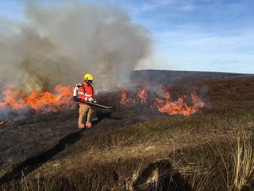The Lead Untangles: Why is the UK seeing so many wildfires?