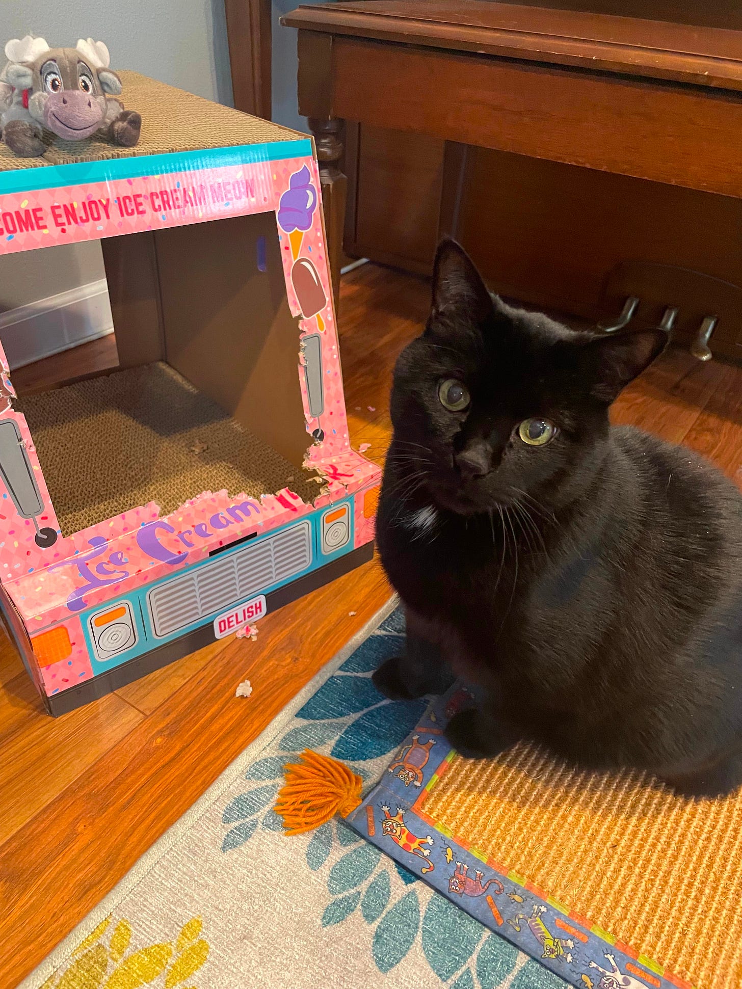 A black cat sits next to a pink cardboard ice cream truck. He has a white smudge on his chest and a cute face.