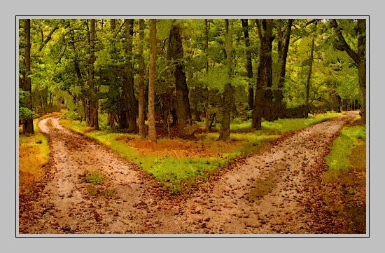 Two Roads Diverged: Jimmy Carter’s Speech - July 15, 1979 | Nomadic ...