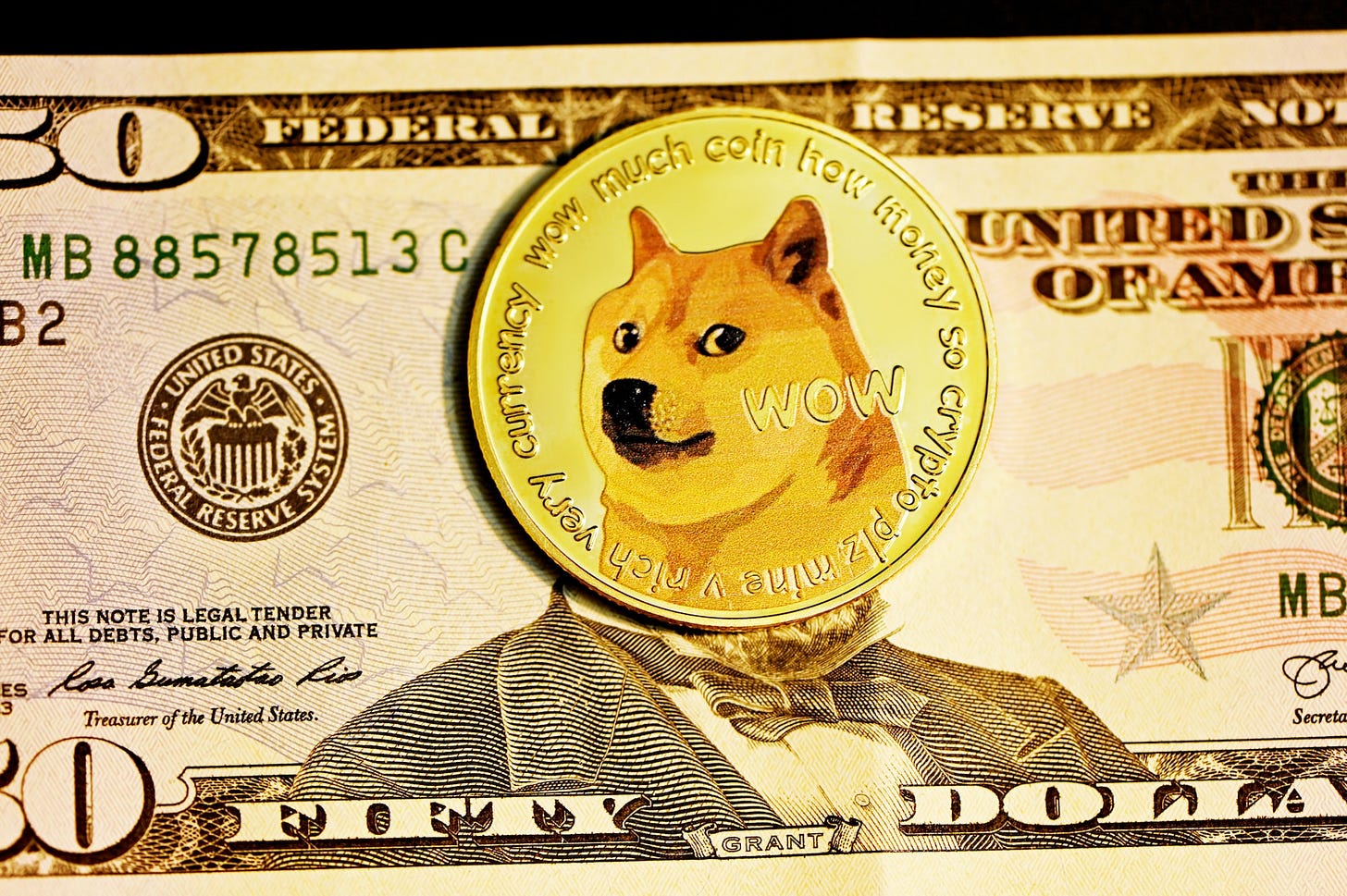 Elon Musk Battles $258 Billion Racketeering Lawsuit over Dogecoin Pyramid Scheme Allegations Elon Musk Battles $258 Billion Racketeering Lawsuit over Dogecoin Pyramid Scheme Allegations