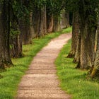 Nāgārjuna’s Four Conditions