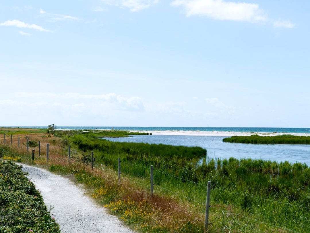 A path leading to a body of water