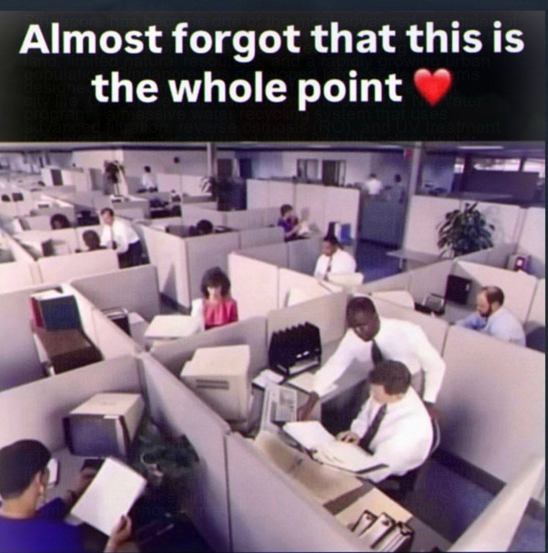 May be an image of text that says 'Almost forgot that this is the whole point ማግ' May be an image of text that says 'Almost forgot that this is the whole point ማግ'