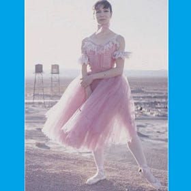 The School Of Dance