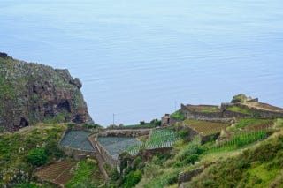 Terraced vineyards on the edge of the sea Terraced vineyards on the edge of the sea