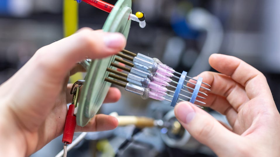 The Earth Prize 2025 European Winning Prototype The Earth Prize 2025 European Winning Prototype