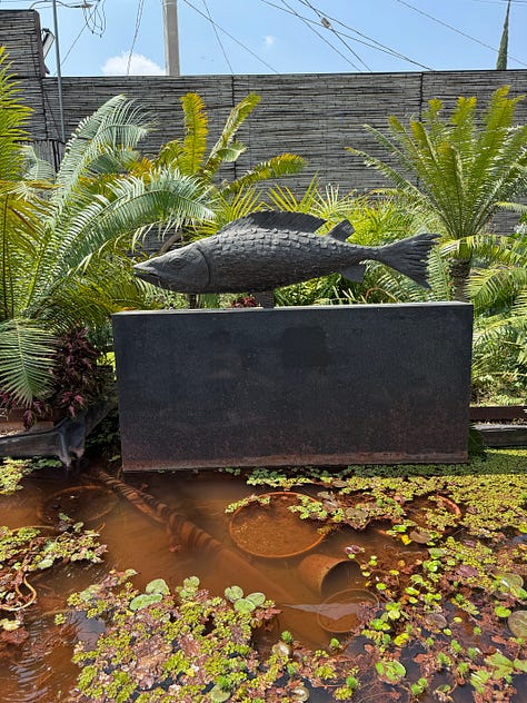 Six photos of small man-made ponds with plants and flowers growing in them.