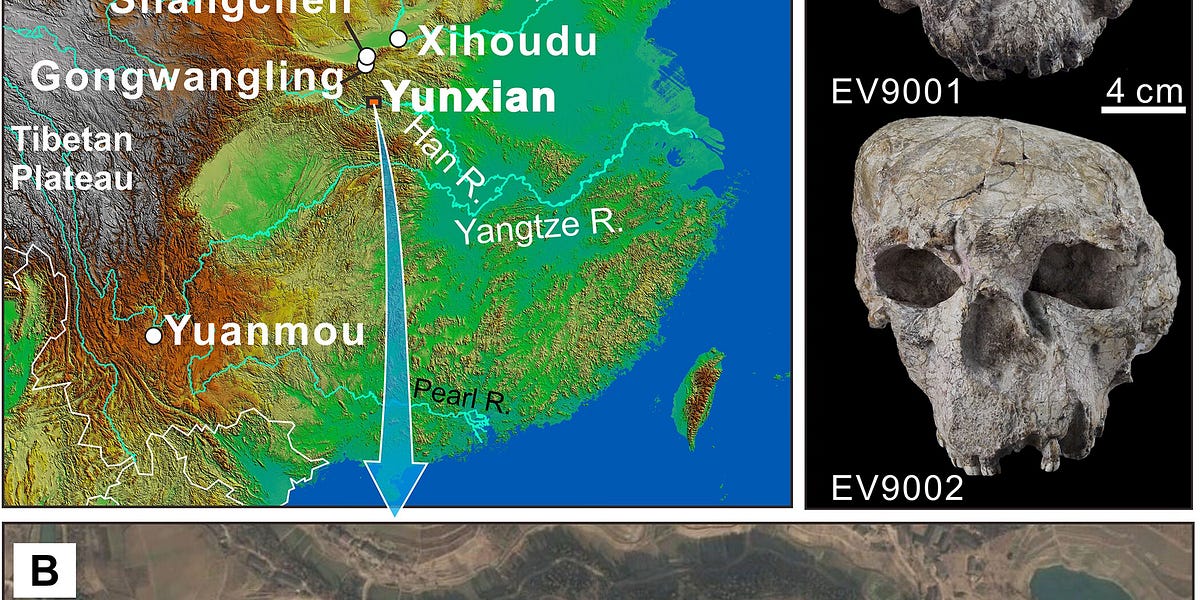 The Yunxian Skulls Are 1.77 Million Years Old. That Changes Things.