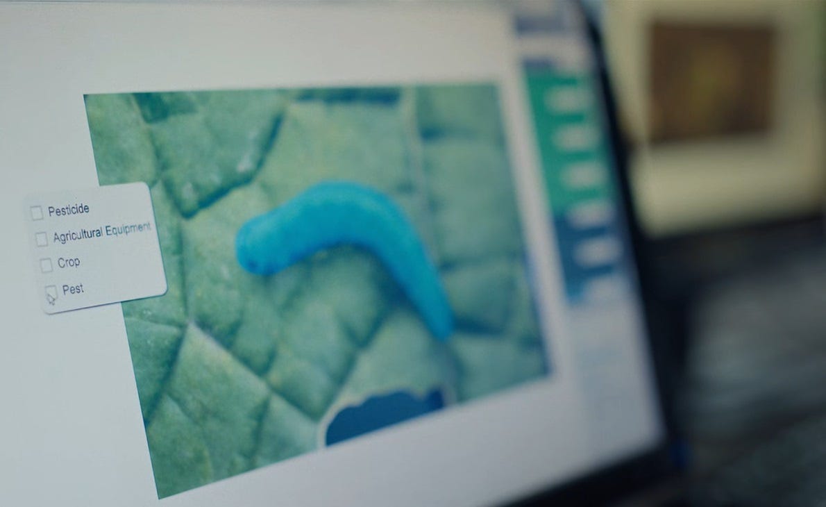 Film Review: Humans in the Loop (2025) - The Dark Knaik