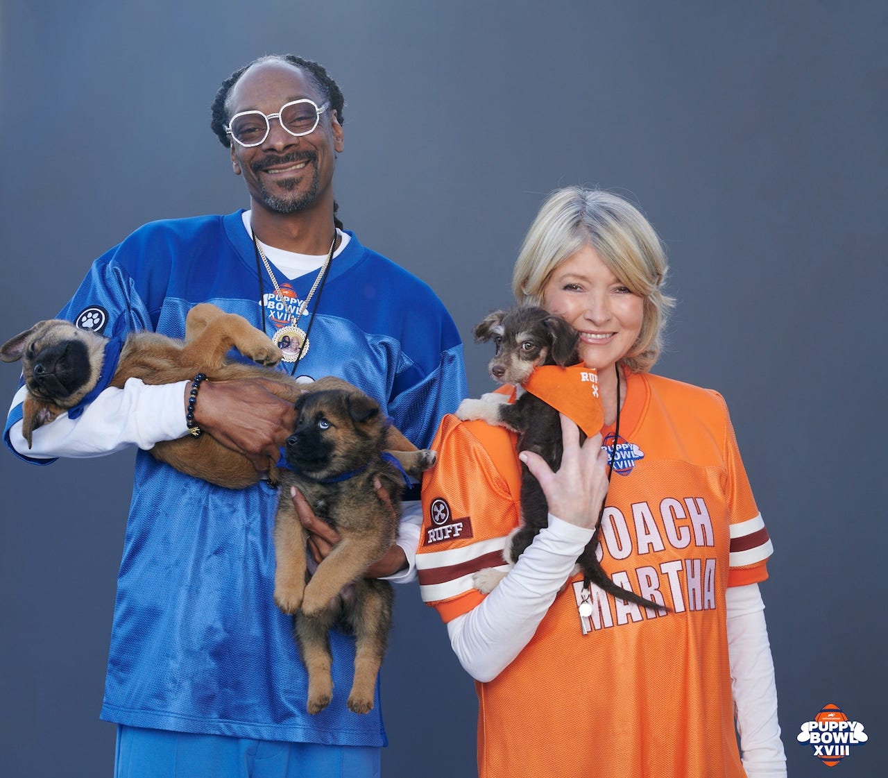 How to watch the Puppy Bowl 2022: Time, TV channel, FREE live stream (2/13/2022) - syracuse.com How to watch the Puppy Bowl 2022: Time, TV channel, FREE live stream (2/13/2022) - syracuse.com