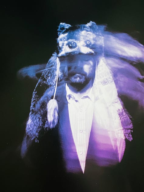 REVIEW: Gruff Rhys—American Interior (Deluxe, 2025)
