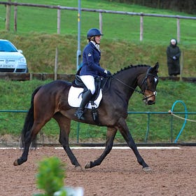 Lovely tests to conclude Lusk's dressage league