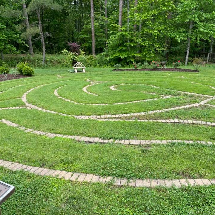 Walking in Circles with Catepa