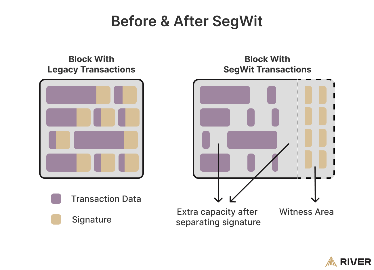What Is Segregated Witness (SegWit)? | River