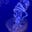Ashna's avatar