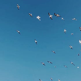 On the Wind (it stems from the breath) 