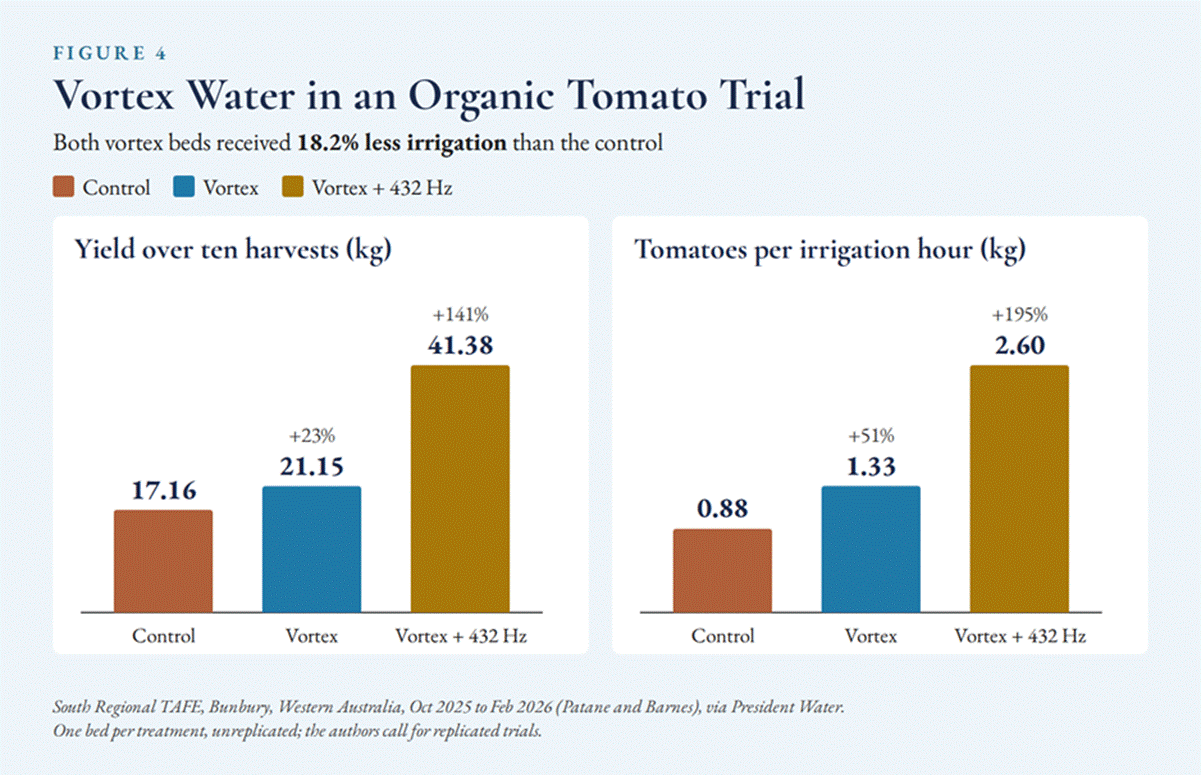 Title: Figure 4. Yield and water productivity in the South Regional TAFE organic tomato trial, 2025–26. - Description: Figure 4. Yield and water productivity in the South Regional TAFE organic tomato trial, 2025–26. Title: Figure 4. Yield and water productivity in the South Regional TAFE organic tomato trial, 2025–26. - Description: Figure 4. Yield and water productivity in the South Regional TAFE organic tomato trial, 2025–26.