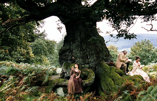 Pride and Prejudice 2005 Film Scene | Pride and prejudice tree, Pride and prejudice stills, Pride Pride and Prejudice 2005 Film Scene | Pride and prejudice tree, Pride and prejudice stills, Pride