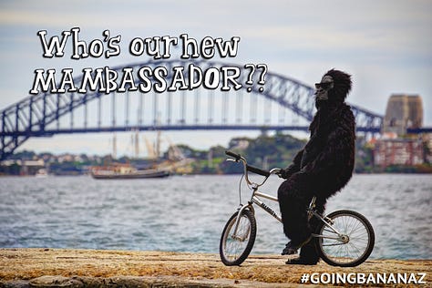 Man in gorilla suit skateboarding on hands along a beach path.