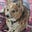 goodcorgi's avatar