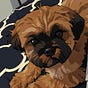 Jeng Dela Cruz's avatar