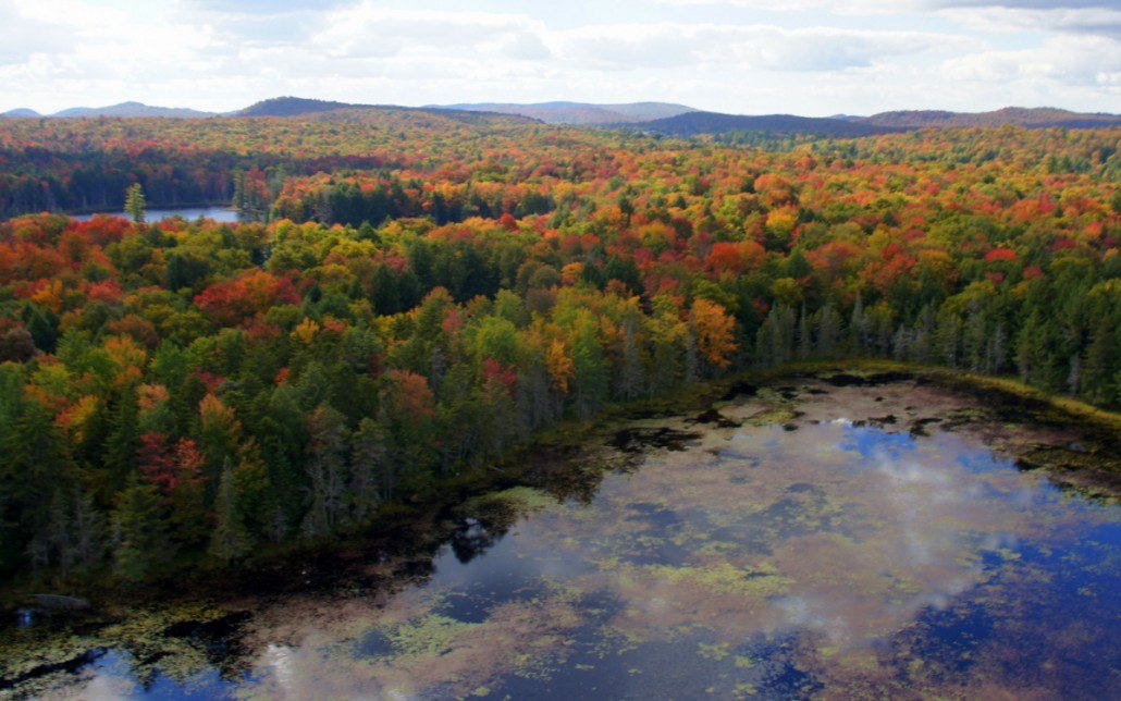 Lake and fall colors reflected. Lake and fall colors reflected.
