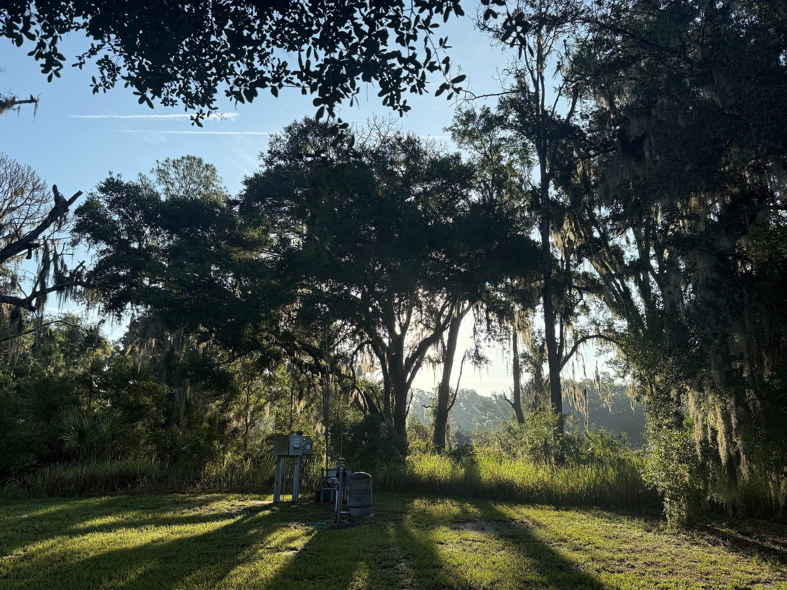 Light shining rays through the oak trees- photo by Robert G. Metivier, 2026, author Light shining rays through the oak trees- photo by Robert G. Metivier, 2026, author