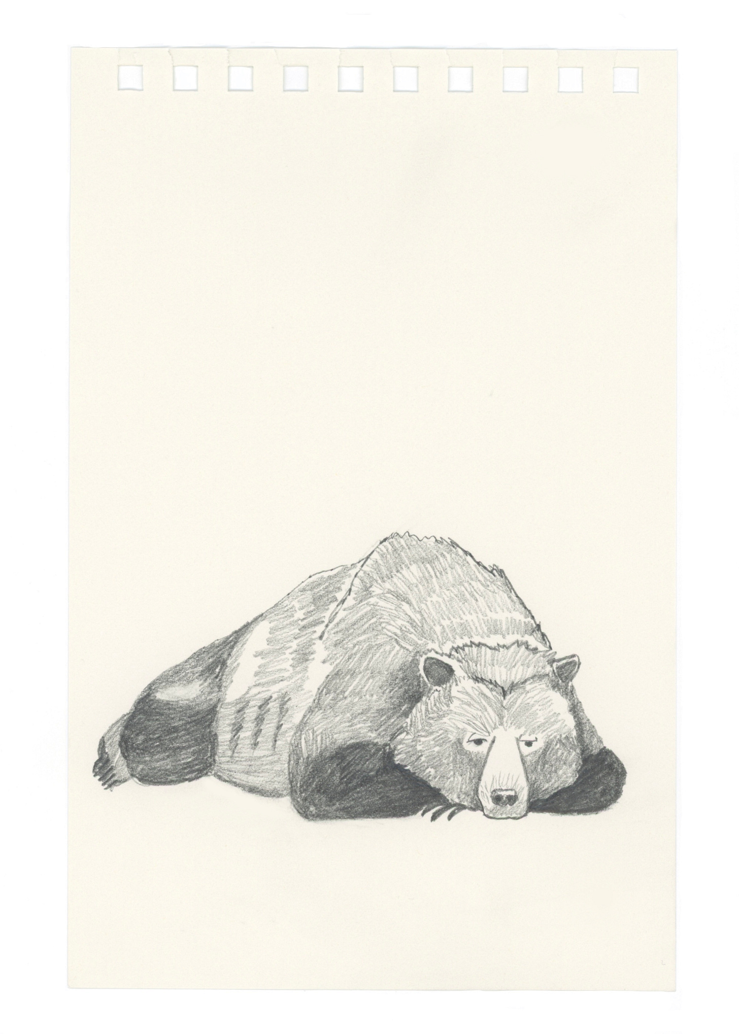 this bear is laying flat on their stomach, their head resting over their crossed arms. they are over. it.